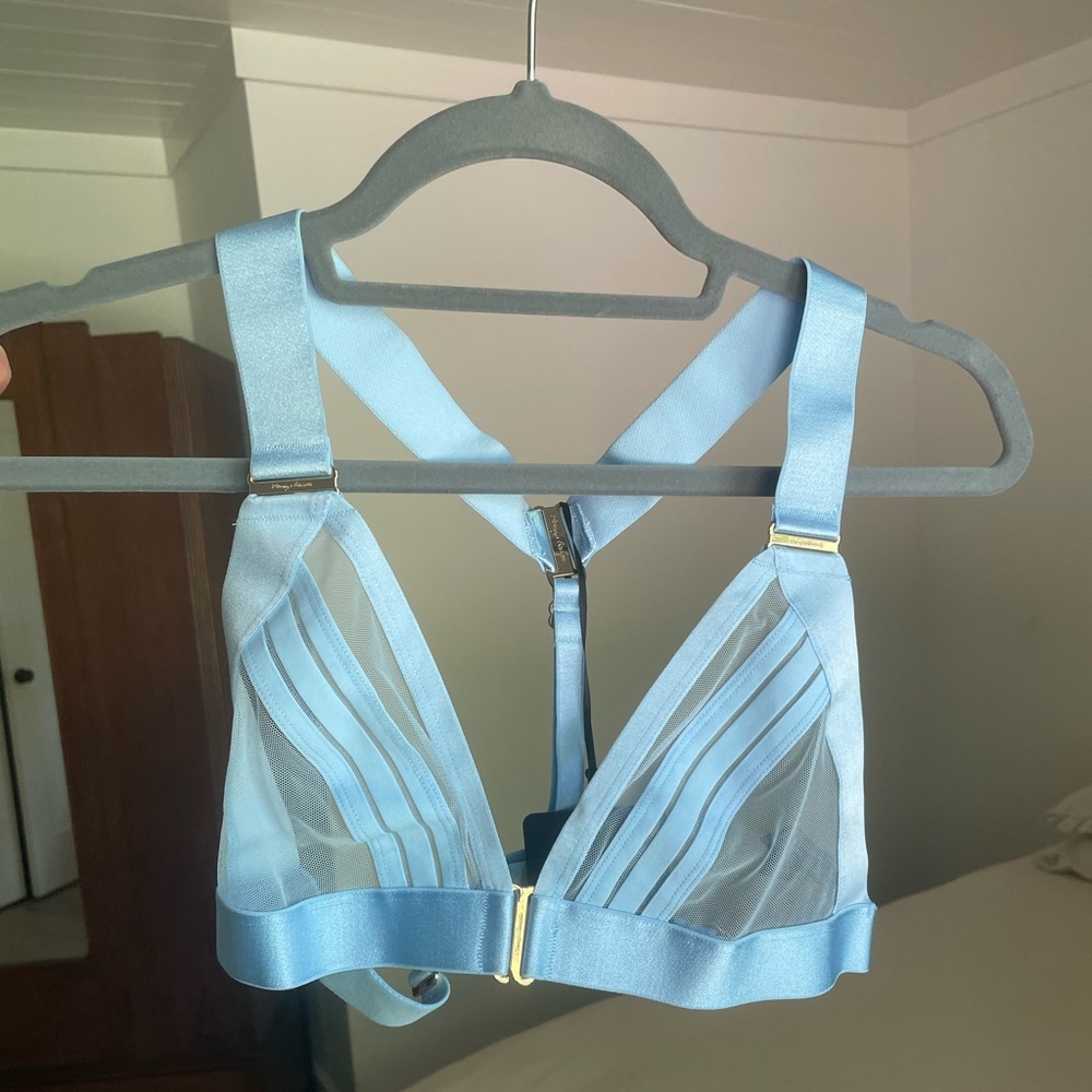 Honey Birdette Linda C Baby Blue Bralette